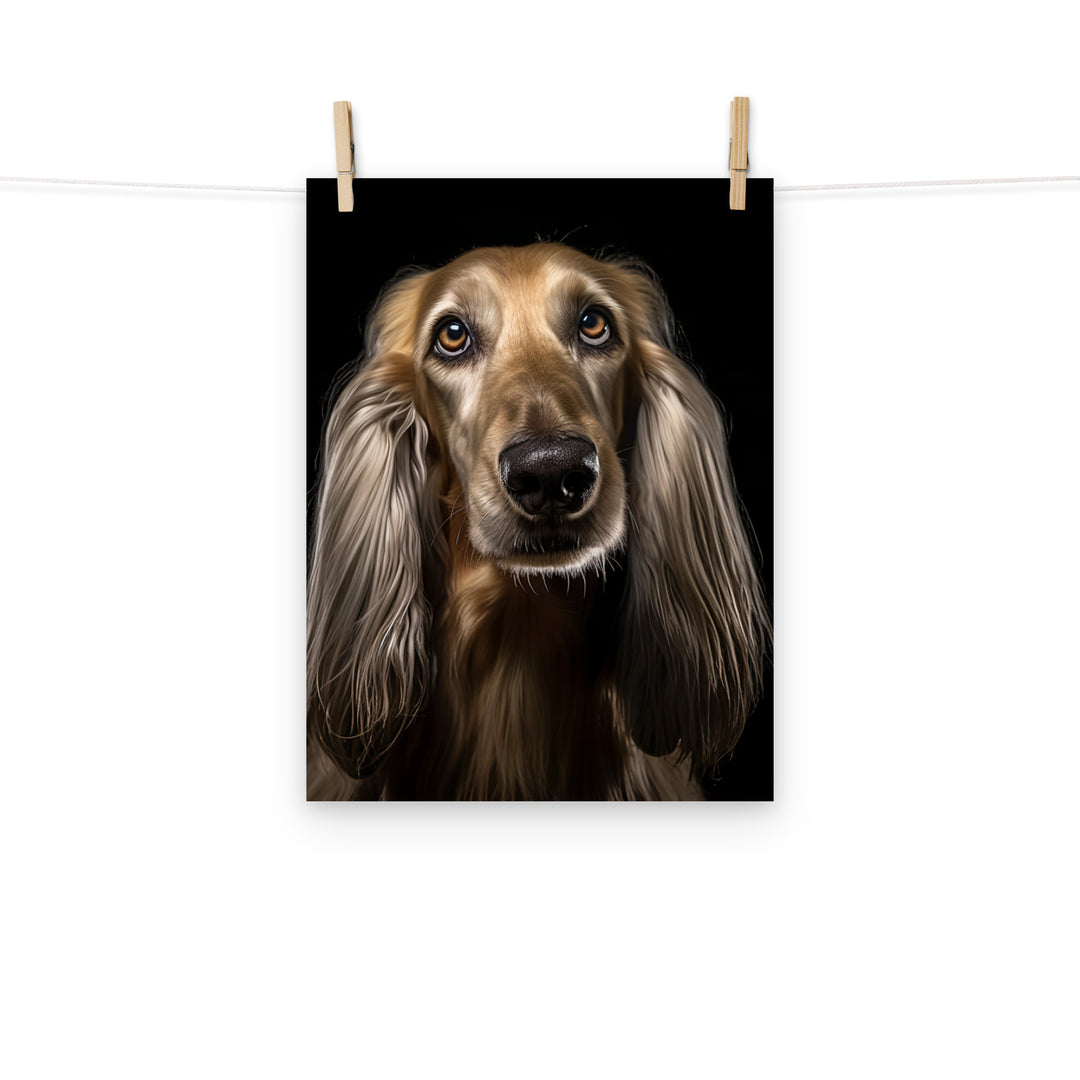 Afghan Hound Photo paper poster - PosterfyAI.com