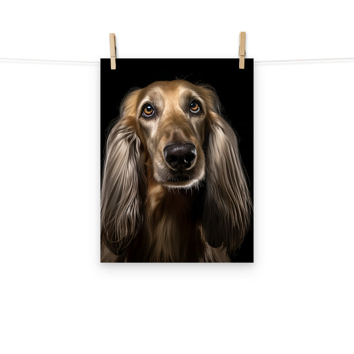 Afghan Hound Photo paper poster - PosterfyAI.com