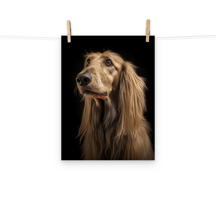 Afghan Hound Photo paper poster - PosterfyAI.com