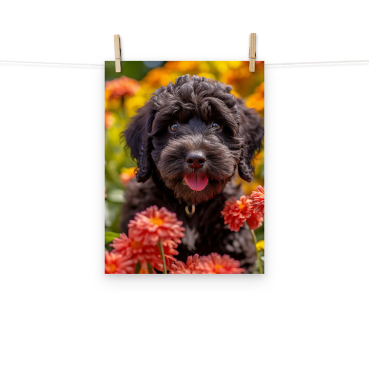 Portuguese Water Dog Photo paper poster - PosterfyAI.com