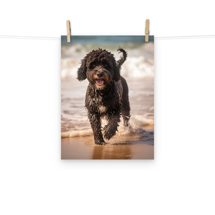 Portuguese Water Dog Photo paper poster - PosterfyAI.com