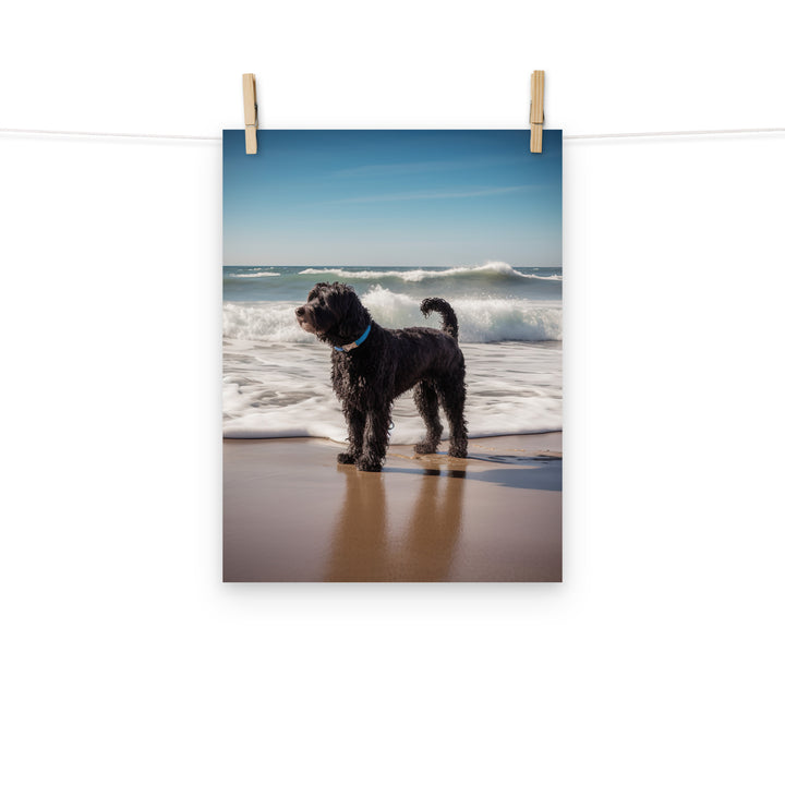 Portuguese Water Dog Photo paper poster - PosterfyAI.com