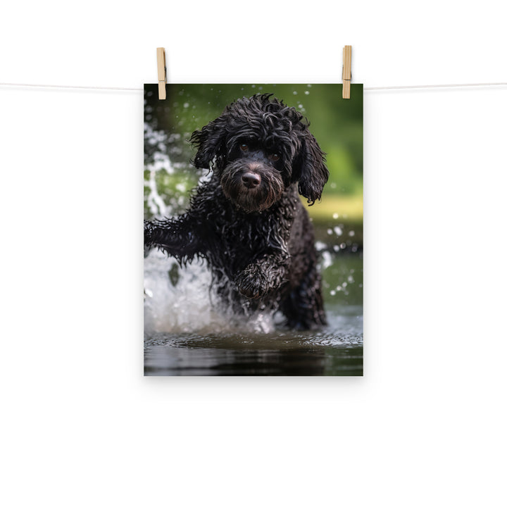 Portuguese Water Dog Photo paper poster - PosterfyAI.com
