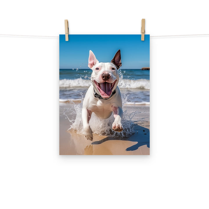 Bull Terrier Photo paper poster - PosterfyAI.com