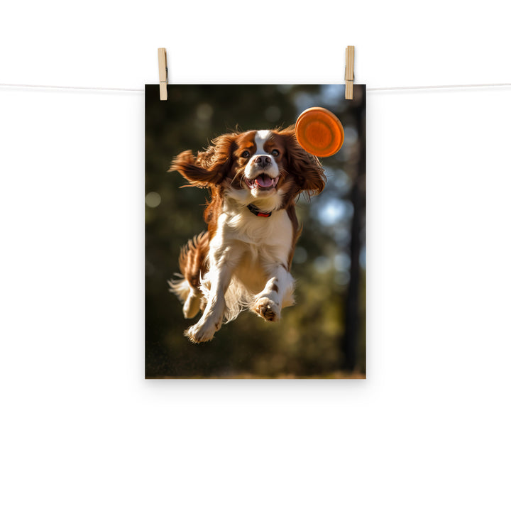 Cavalier King Charles Photo paper poster - PosterfyAI.com