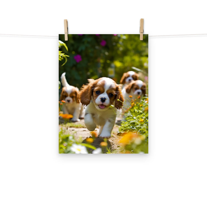 Cavalier King Charles Photo paper poster - PosterfyAI.com