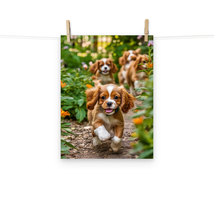 Cavalier King Charles Photo paper poster - PosterfyAI.com