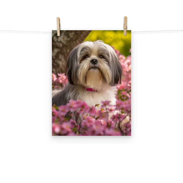 Lhasa Apso Photo paper poster - PosterfyAI.com