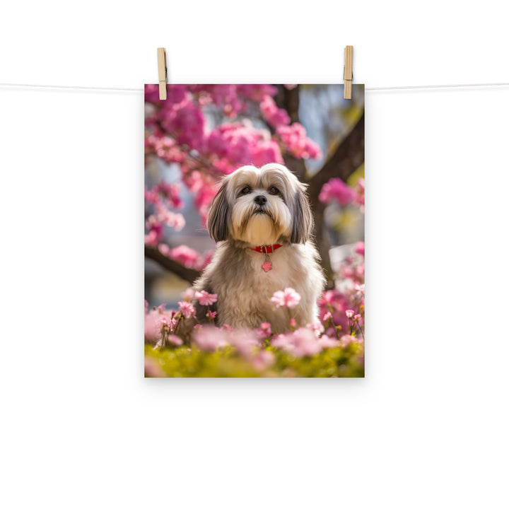 Lhasa Apso Photo paper poster - PosterfyAI.com