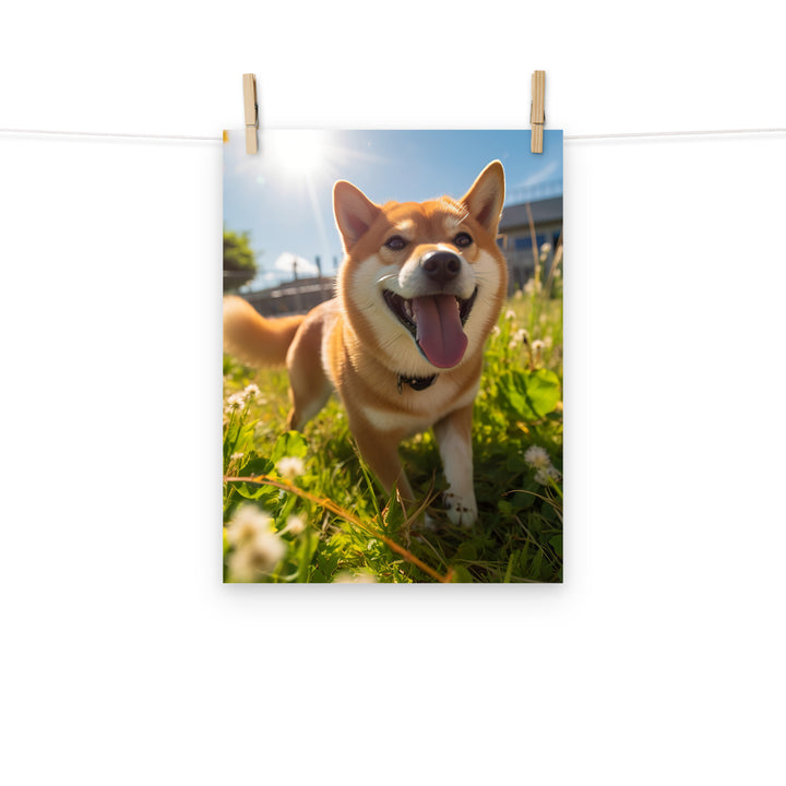 Shiba Inu Photo paper poster - PosterfyAI.com