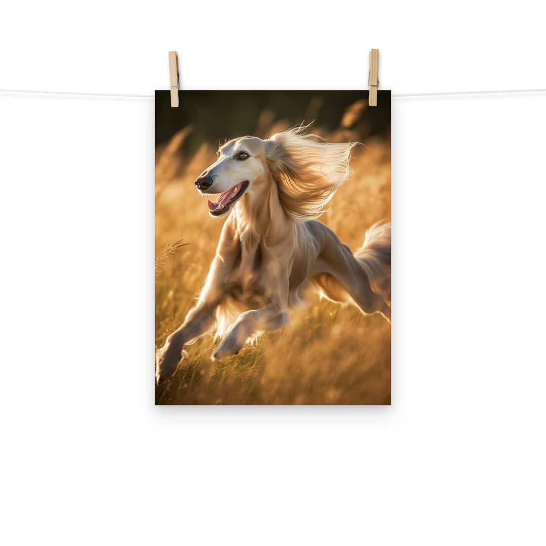 Saluki Photo paper poster - PosterfyAI.com