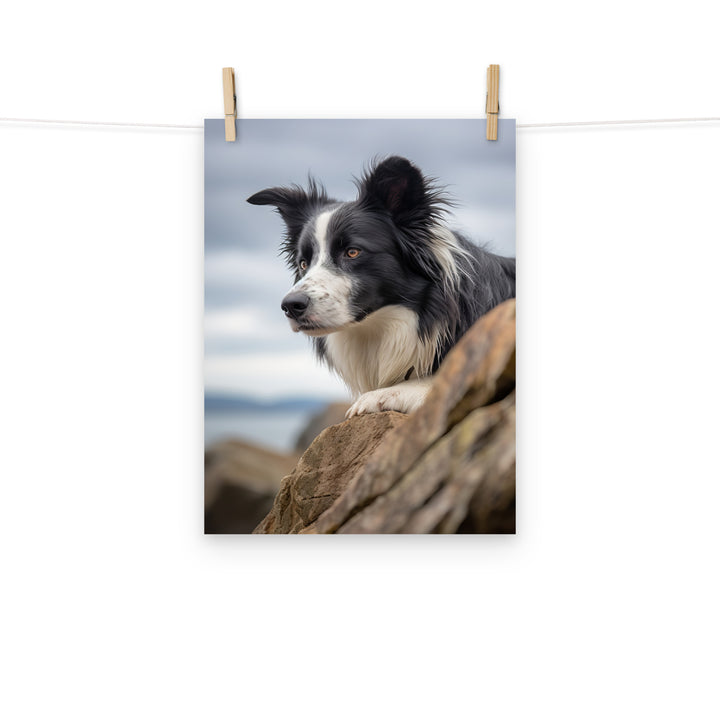 Border Collie Photo paper poster - PosterfyAI.com