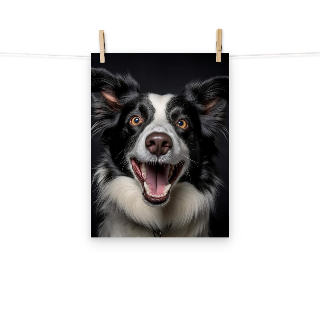 Border Collie Photo paper poster - PosterfyAI.com