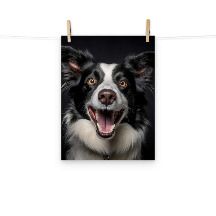 Border Collie Photo paper poster - PosterfyAI.com