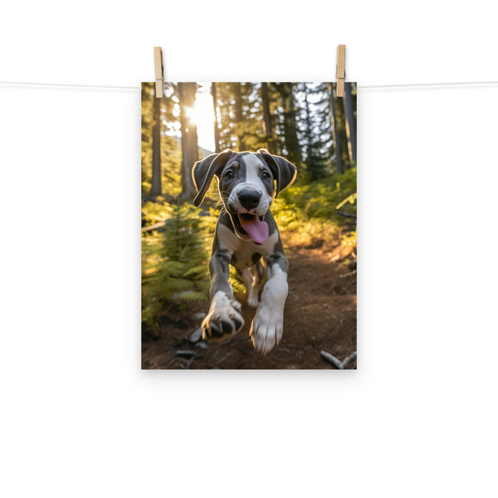 Great Dane Photo paper poster - PosterfyAI.com