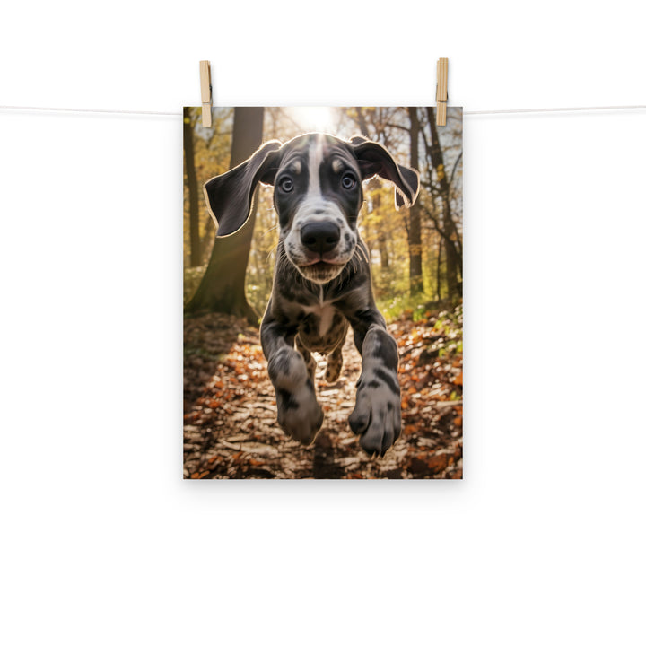 Great Dane Photo paper poster - PosterfyAI.com