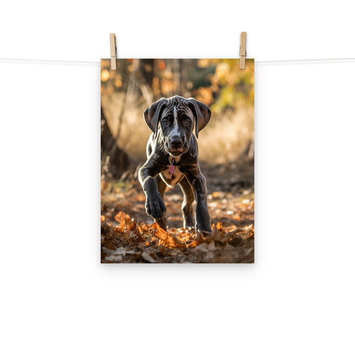Great Dane Photo paper poster - PosterfyAI.com