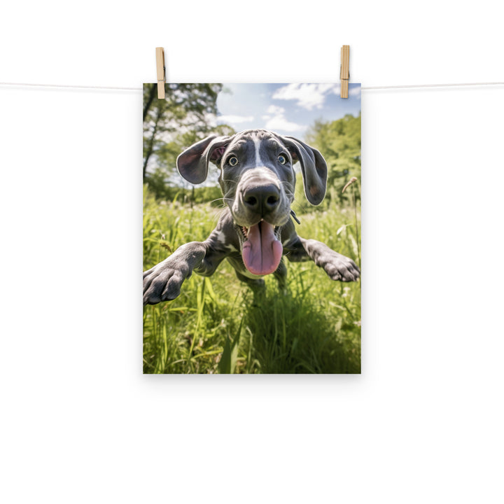 Great Dane Photo paper poster - PosterfyAI.com