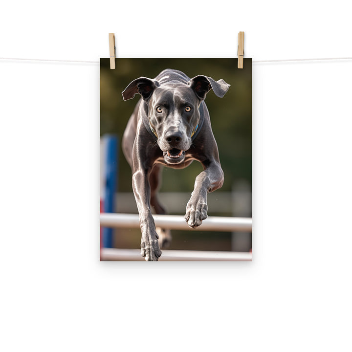 Great Dane Photo paper poster - PosterfyAI.com