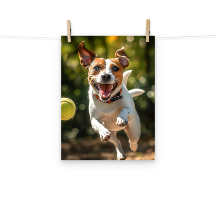 Jack Russell Terrier Photo paper poster - PosterfyAI.com