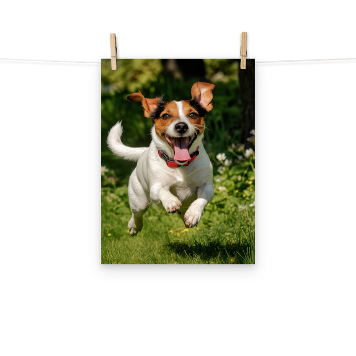 Jack Russell Terrier Photo paper poster - PosterfyAI.com