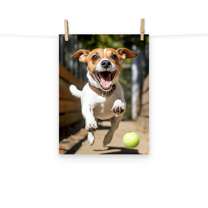 Jack Russell Terrier Photo paper poster - PosterfyAI.com