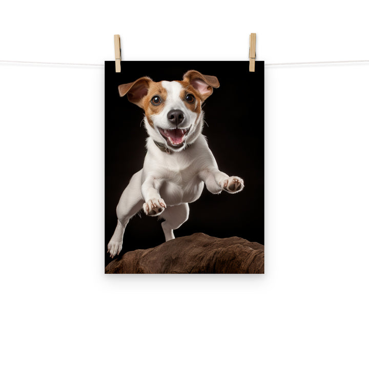 Jack Russell Terrier Photo paper poster - PosterfyAI.com