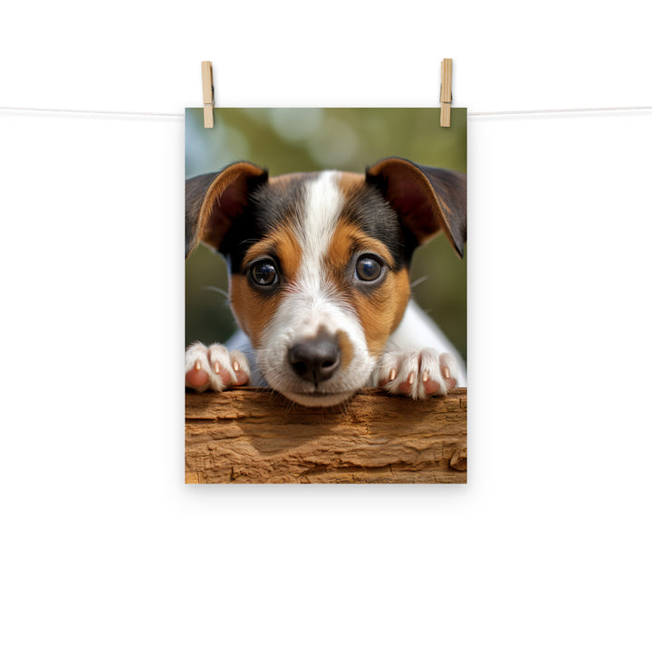 Jack Russell Terrier Photo paper poster - PosterfyAI.com