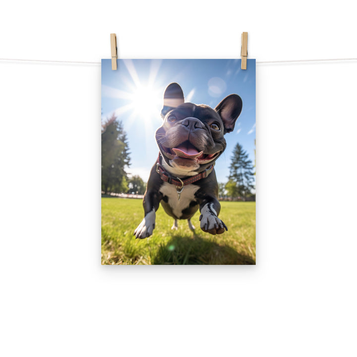 French Bulldog Photo paper poster - PosterfyAI.com