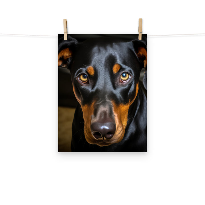 Doberman Photo paper poster - PosterfyAI.com