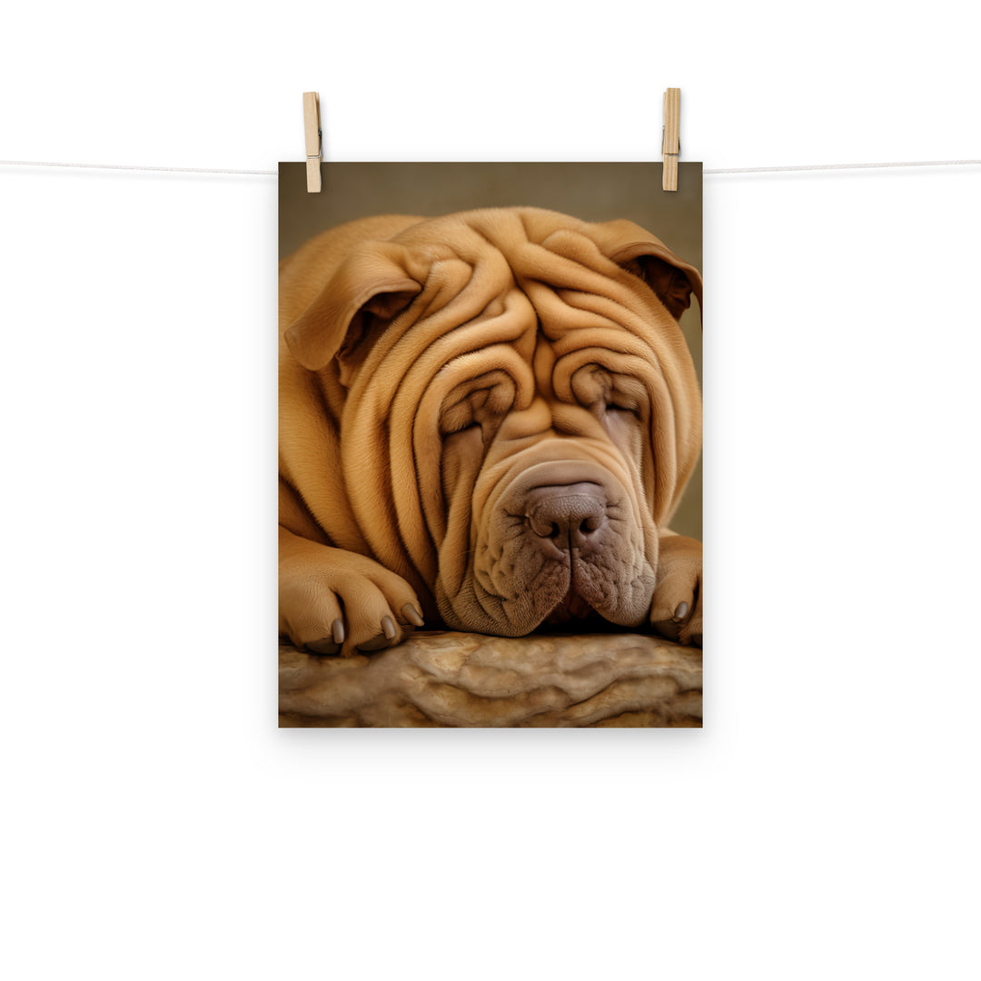 Shar Pei Photo paper poster - PosterfyAI.com