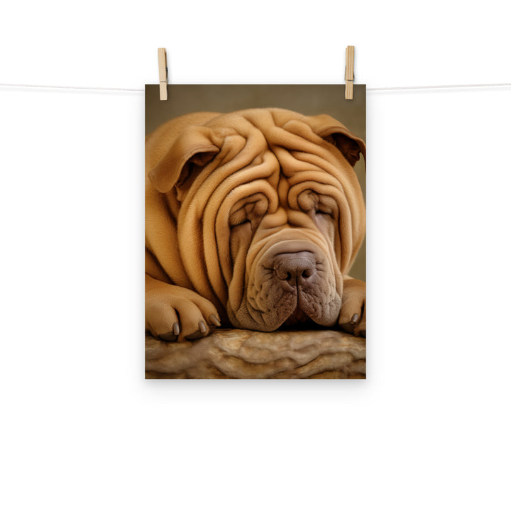 Shar Pei Photo paper poster - PosterfyAI.com