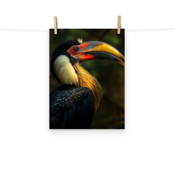 Hornbill Photo paper poster - PosterfyAI.com