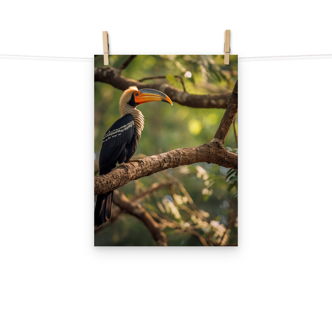 Hornbill Photo paper poster - PosterfyAI.com