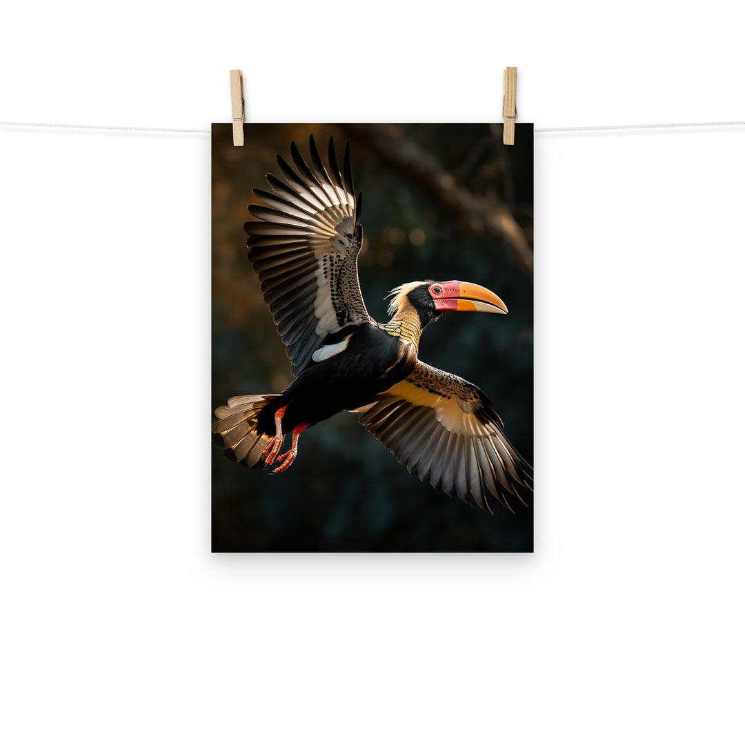 Hornbill Photo paper poster - PosterfyAI.com