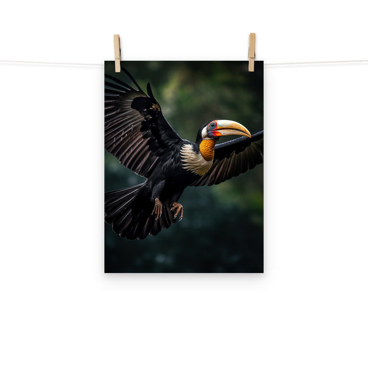 Hornbill Photo paper poster - PosterfyAI.com