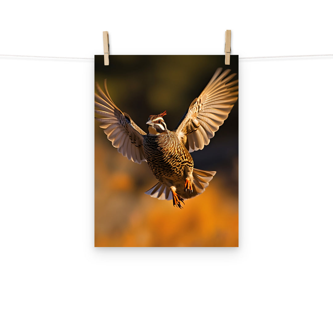 Quail Photo paper poster - PosterfyAI.com