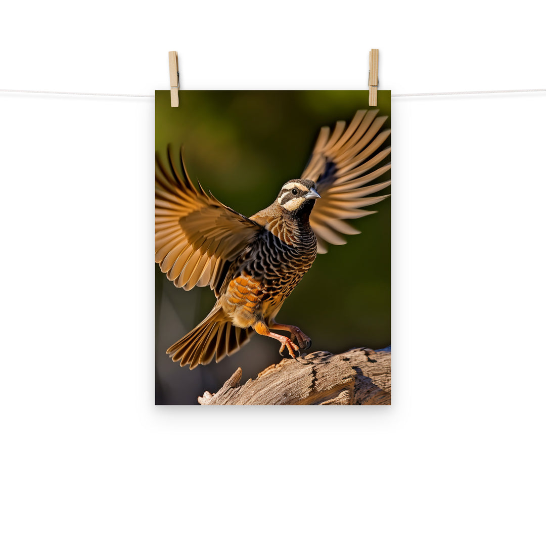 Quail Photo paper poster - PosterfyAI.com