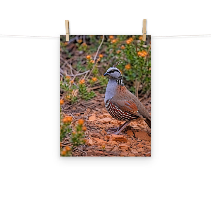 Quail Photo paper poster - PosterfyAI.com