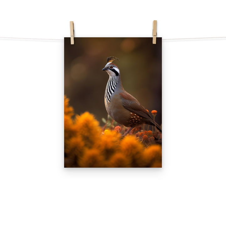 Quail Photo paper poster - PosterfyAI.com
