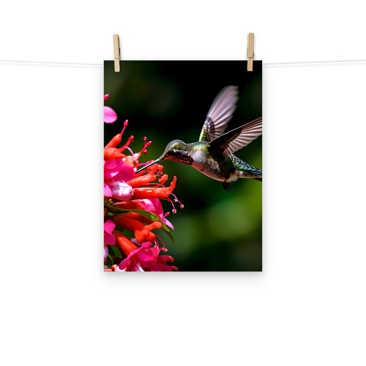 Hummingbird Photo paper poster - PosterfyAI.com