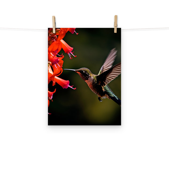 Hummingbird Photo paper poster - PosterfyAI.com
