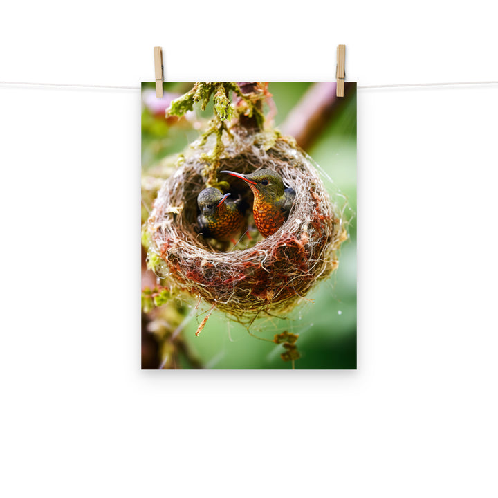 Hummingbird Photo paper poster - PosterfyAI.com