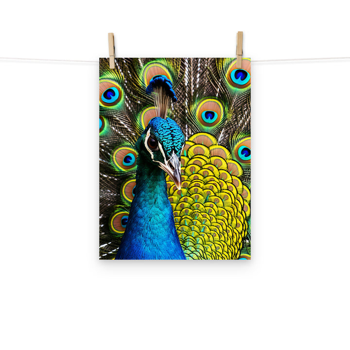 Peacock Photo paper poster - PosterfyAI.com