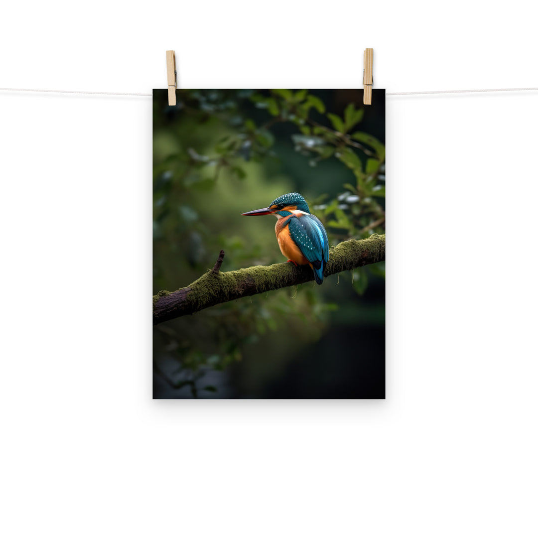 Kingfisher Photo paper poster - PosterfyAI.com