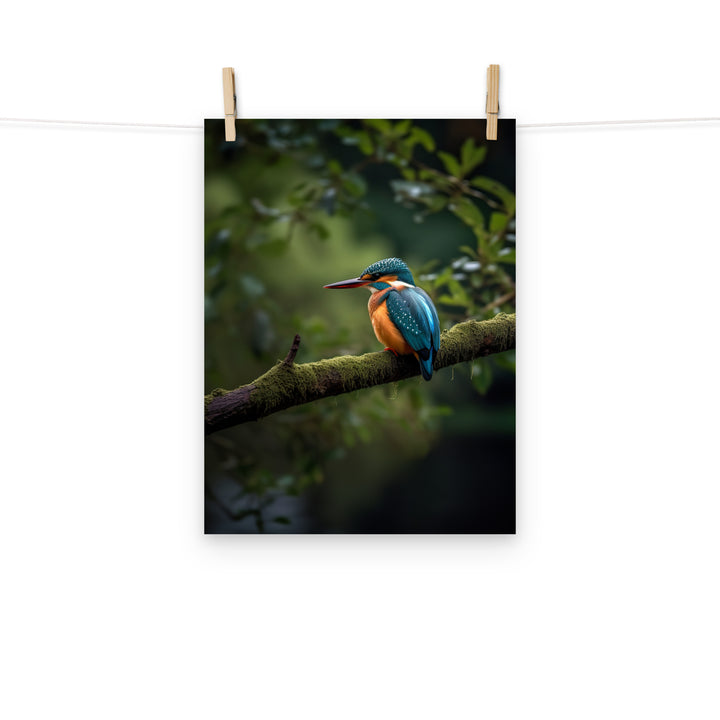 Kingfisher Photo paper poster - PosterfyAI.com