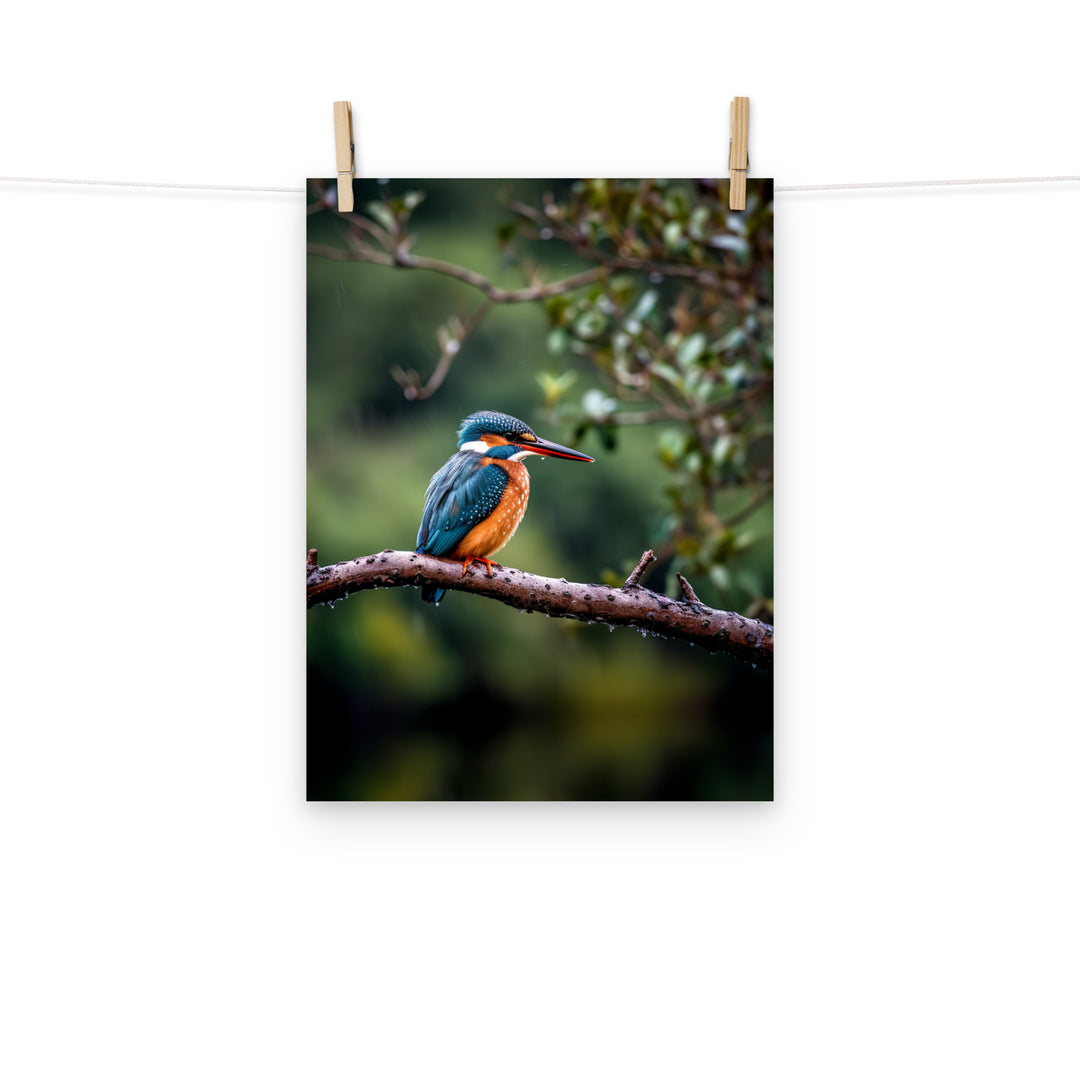 Kingfisher Photo paper poster - PosterfyAI.com