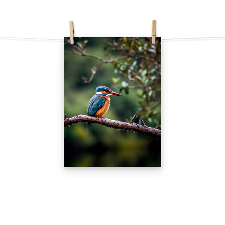 Kingfisher Photo paper poster - PosterfyAI.com