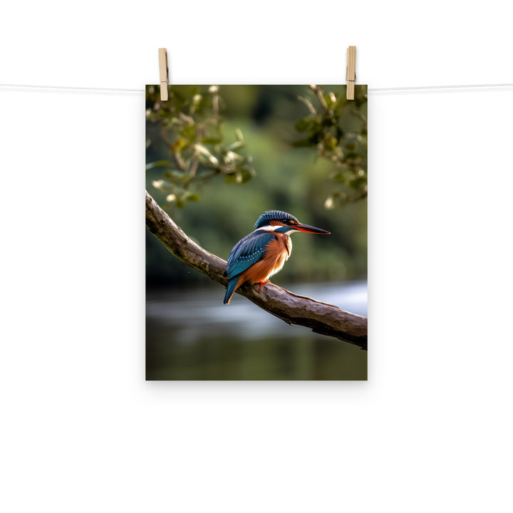 Kingfisher Photo paper poster - PosterfyAI.com