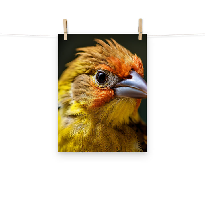 Finch Photo paper poster - PosterfyAI.com